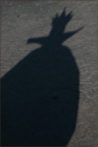 Evil Queens Shadow