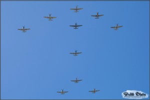 P-51 Mustang Gaggle
