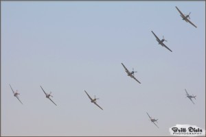 P-51 Mustang Gaggle at Chino Airport - May 12-14, 2010