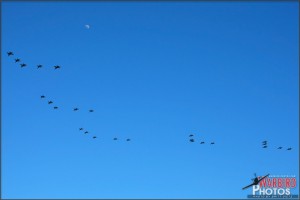 The entire Carrier Air Wing of the USS John C Stennis passes over head for the Centennial of Naval Aviation Celebration 2011