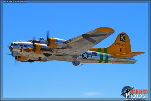 B-17G Flying Fortress 'Fuddy Duddy' Air to Air Photoshoot