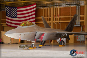 USAF F-22A Raptor at the 2014 Nellis AFB Airshow