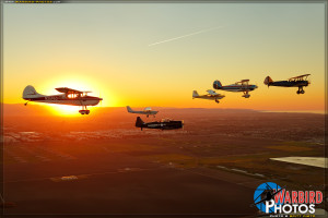 Aviator Flight Training Aircraft Fleet