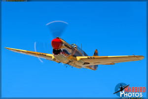 Planes of Fame Museum's P-40N Warhawk