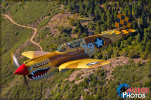 Planes of Fame Museum's P-40N Warhawk