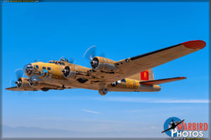 Collings Foundation - B-17G Flying Fortress 'Nine O Nine'
