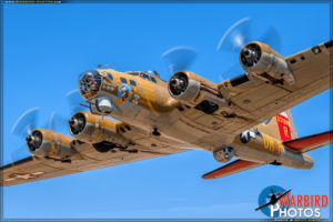 Collings Foundation - B-17G Flying Fortress 'Nine O Nine'