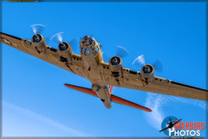 Collings Foundation - B-17G Flying Fortress 'Nine O Nine'