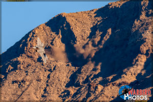 Nellis AFB Airshow - F-22 Raptor