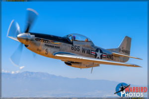 Collings Foundation - TF-51D Mustang 'Toulouse Nuts'