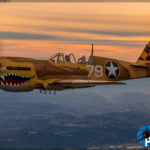 Air to Air - P-40N Warhawk