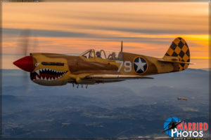 Air to Air - P-40N Warhawk