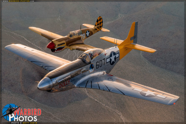 Air to Air - P-51D Mustang & P-40N Warhawk