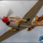 Planes of Fame Airshow 2017 - P-40N Warhawk