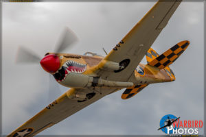 Planes of Fame Airshow 2017 - P-40N Warhawk
