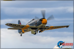 Planes of Fame Airshow 2017 - Sea Fury T Mk20